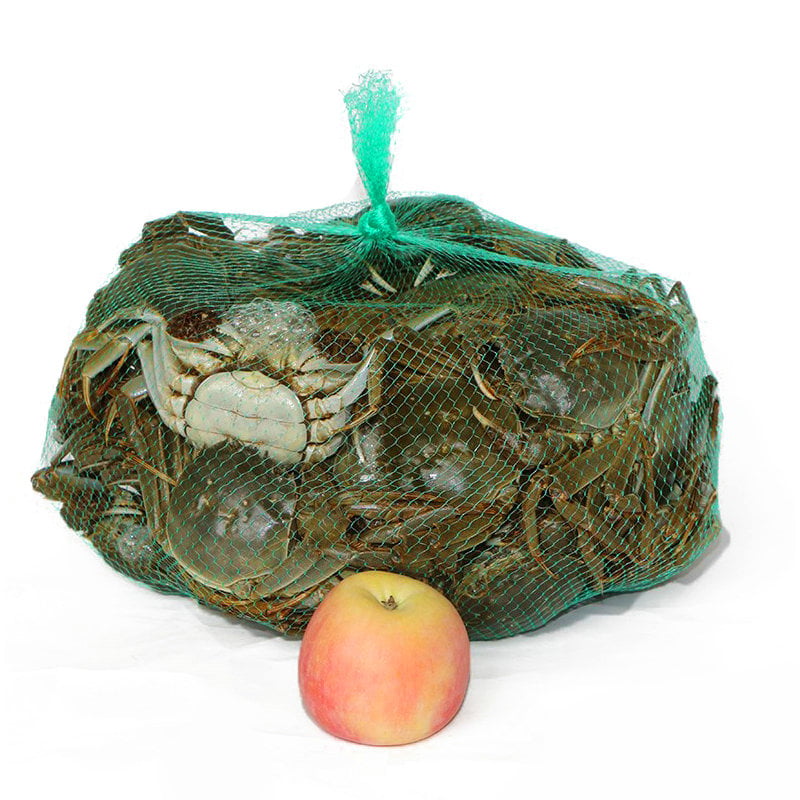 Petit pain de sac de gaze de maille de pp d'emballage de légume de fruit